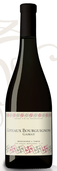 2018 Marchand-Tawse Coteaux Bourguignons - Gamay