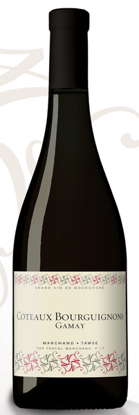 2019 Marchand-Tawse Coteaux Bourguignons - Gamay