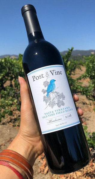 2019 Post & Vine Old Vine Field Blend- Testa