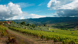 Chianti Classico Wine Dinner with Le Cinciole